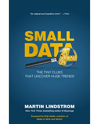 Small Data: The Tiny Clues That Uncover Huge Trends - Hardcover