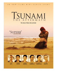 Tsunami - The Aftermath